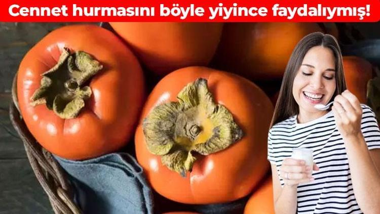 Cennet hurmasını yıllardır yanlış yiyormuşuz Faydasını 10 kat artırıyor: Kabızlığı tarihe karıştırıyor, damarları hortum gibi açıyor