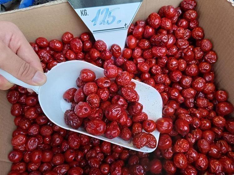 Japonlar avuç avuç yiyor Türkiyede yetişiyor: Kilosu 80 lira, vücuda bedava vitamin yüklüyor