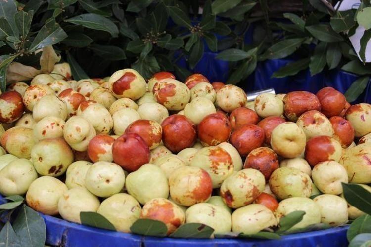 Japonlar avuç avuç yiyor Türkiyede yetişiyor: Kilosu 80 lira, vücuda bedava vitamin yüklüyor
