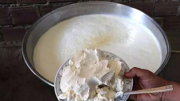 METABOLİZMA HIZLANDIRICI: YOĞURT VE ÇÖREK OTU KARIŞIMI
