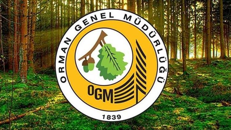 ORMAN GENEL MÜDÜRLÜĞÜ PERSONEL ALIMI 2025: OGM 4 bin 500 işçi alımı sonuçları ne zaman, açıklandı mı OGM işçi alımı kura sonuçları