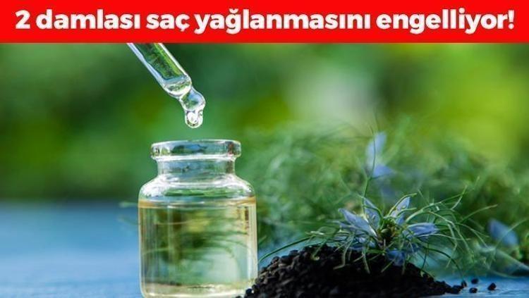 Şampuanın içine 2 damla atmak yetiyor Saç köklerini coşturup yağlanmayı önlüyor, parıl parıl parlatıyor Rapunzel gibi saçların sırrıymış