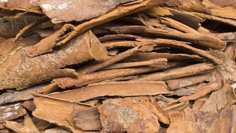 HORMON DENGESİNİ DESTEKLER: KADINLAR İÇİN ÖNEMLİ BİR YARDIMCI