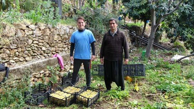 Antalyada hasadı başladı, faydasını duyan torba torba alıyor Kilosu 100 TL: Doğal şeker ilacı, böbreklere reset atıp bağırsakları harıl harıl çalıştırıyor