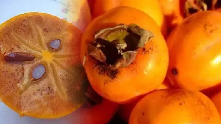 VÜCUTTA DETOKS ETKİSİ YARATIR