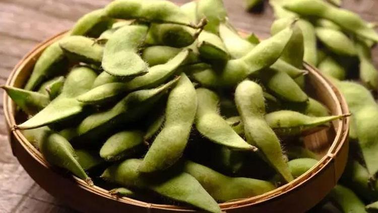 YÜKSEK PROTEİN KAYNAĞI: EDAMAME