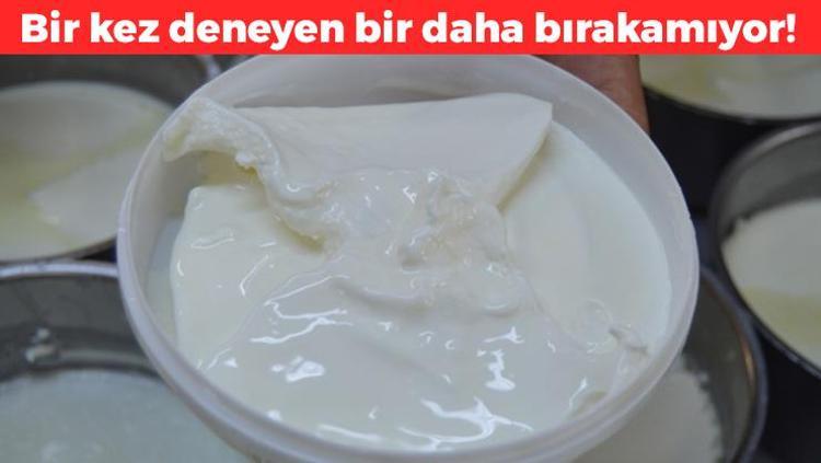 %18 daha fazla protein içeriyor 5 litresinden 750 gram kaymak çıkıyor, dünyanın en zengin kalsiyum kaynağı