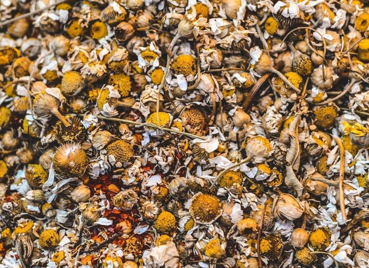 PAPATYA İLE SARI IŞILTILAR