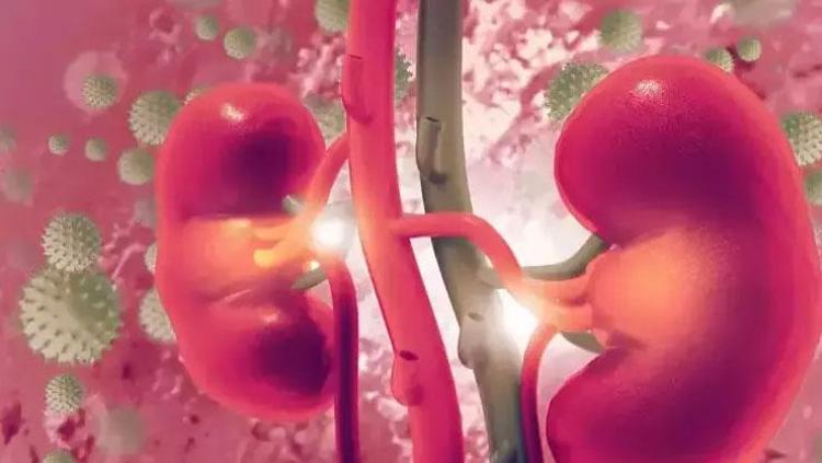 Böbreklere duş aldırıyor A, C ve K vitamini ambarı: Demir depolarını fullüyor, çayını yapıp içine limon sıkın