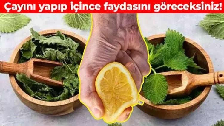 Böbreklere duş aldırıyor A, C ve K vitamini ambarı: Demir depolarını fullüyor, çayını yapıp içine limon sıkın