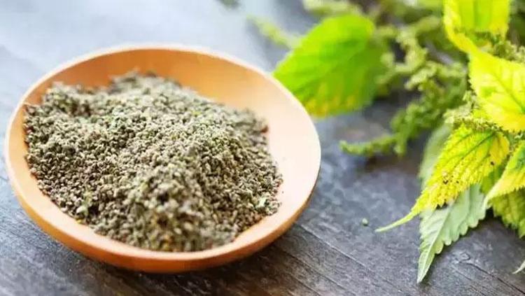 KAN ŞEKERİ DÜZENLEYİCİ ETKİSİ
