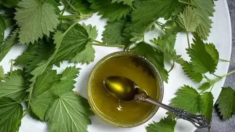 ISIRGAN OTU ÇAYI TARİFİ
