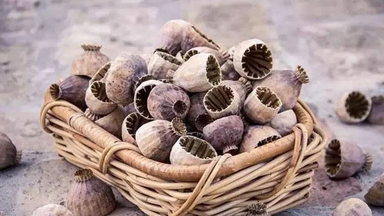 SİNDİRİM SAĞLIĞINI DESTEKLER