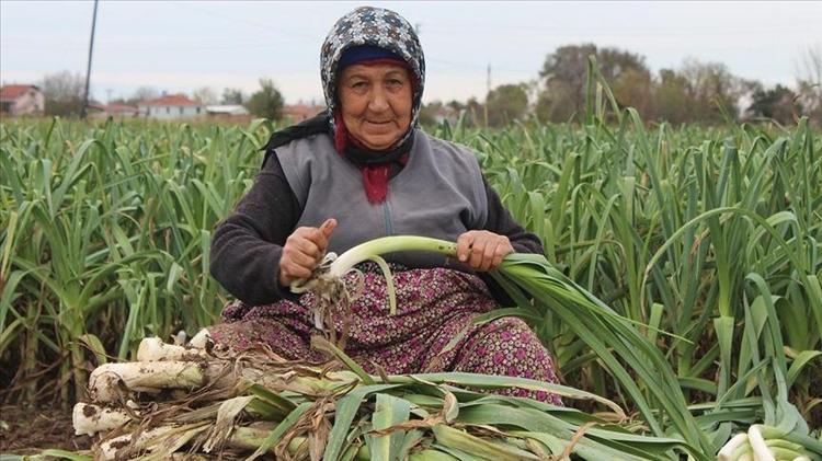 KEMİK SAĞLIĞINI GÜÇLENDİRİR