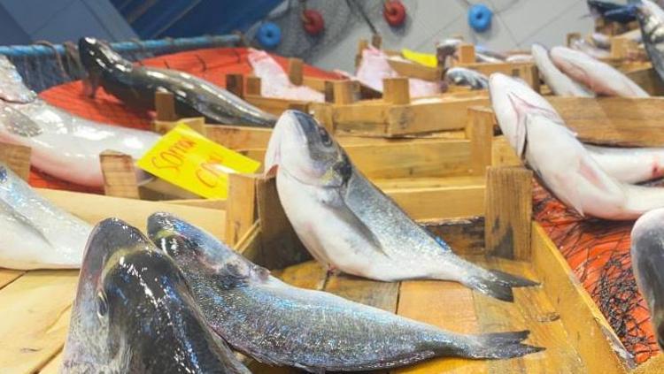 En faydalı omega-3 kaynağı ama dikkat edilmezse zehirliyor Uzmanları uyardı: Bu kurallar hayat kurtarır, balık alırken mutlaka bakın