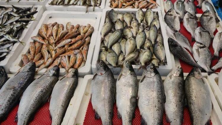 En faydalı omega-3 kaynağı ama dikkat edilmezse zehirliyor Uzmanları uyardı: Bu kurallar hayat kurtarır, balık alırken mutlaka bakın