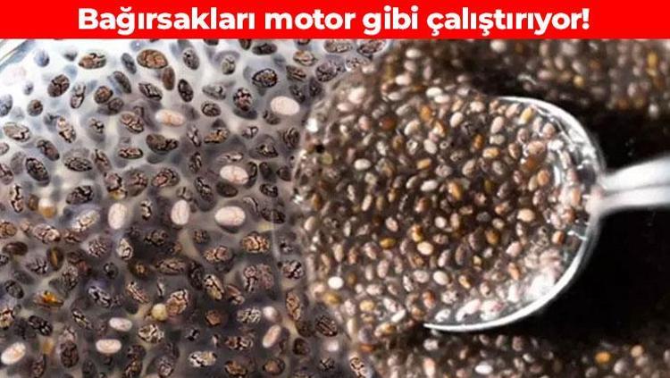 Bağırsakların gizli kahramanını kimse bilmiyor Sindirim sistemini adeta makine gibi çalıştırıyor