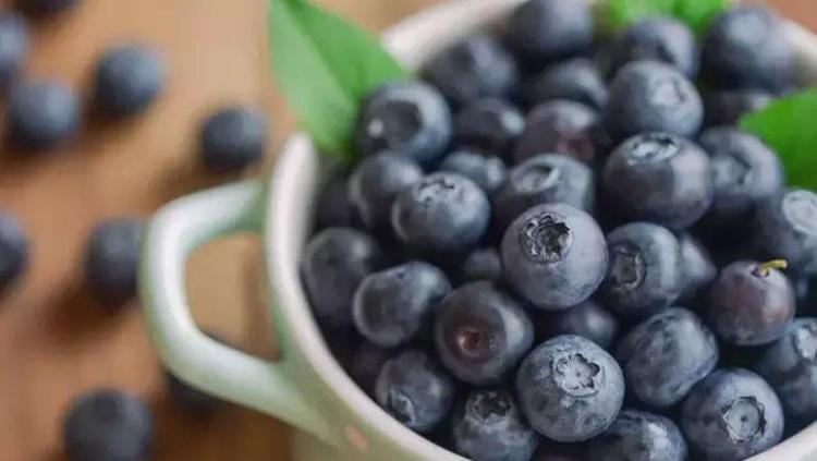 KALP VE DAMAR SAĞLIĞINA DESTEK OLUR: YABAN MERSİNİ