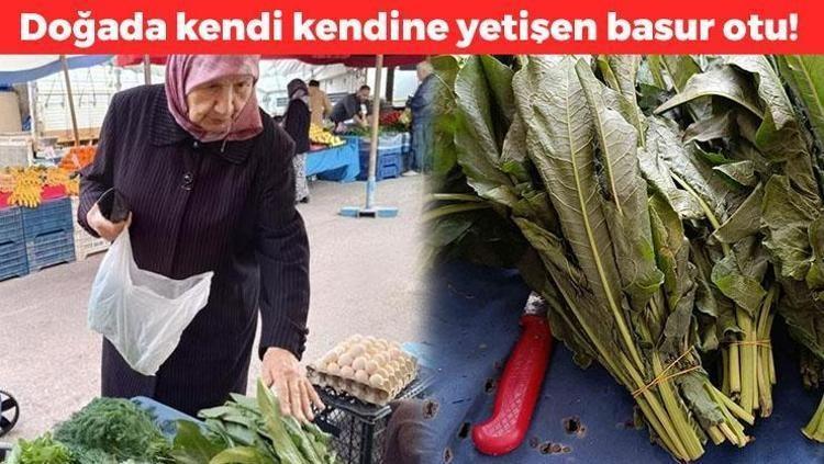 Doğada kendi kendine yetişen basur otu Demeti 10 TL: 100 yaşına kadar yaşamanın sırrı ondaymış Kan basıncını dengeleyen doğal tansiyon ilacı