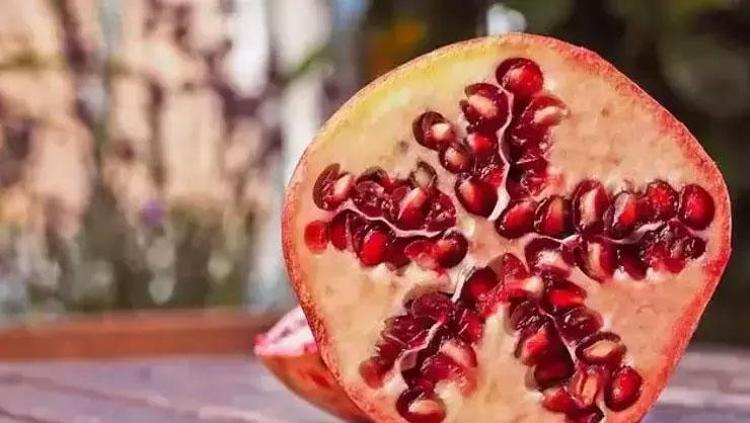 KANSER HÜCRELERİNİN BÜYÜMESİNİ ENGELLİYOR