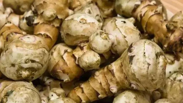 Bel, basen ve göbekten zayıflatıyor Salatasını yapıp yiyin: Metabolizma hızını yüzde 200 artırıyor
