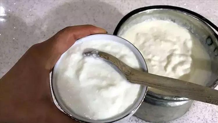 Yoğurdu tereyağı ile mayalamak gerekiyormuş Taş gibi yoğurdun sırrı bulundu