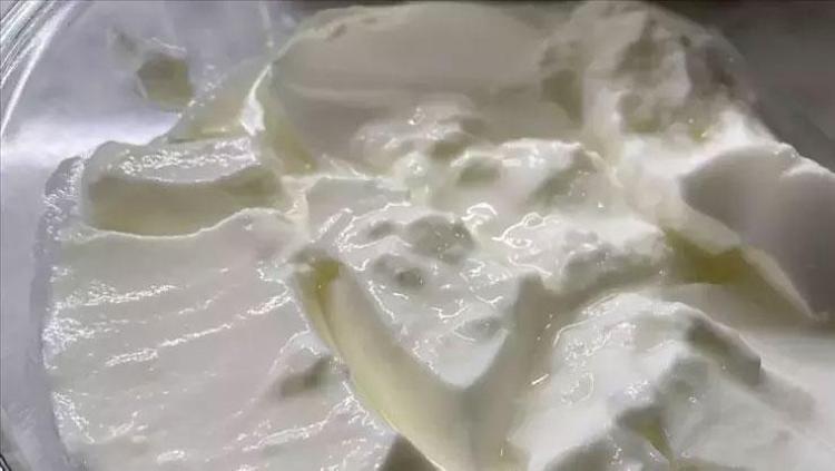 Yoğurdu tereyağı ile mayalamak gerekiyormuş Taş gibi yoğurdun sırrı bulundu
