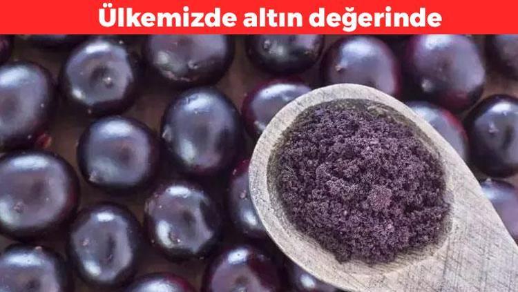 Amazon Ormanlarından ülkemize geldi Meyveler arasında rakibi yok: Yüksek antioksidan içeriyor, saatlerce tok kalmanızı sağlıyor
