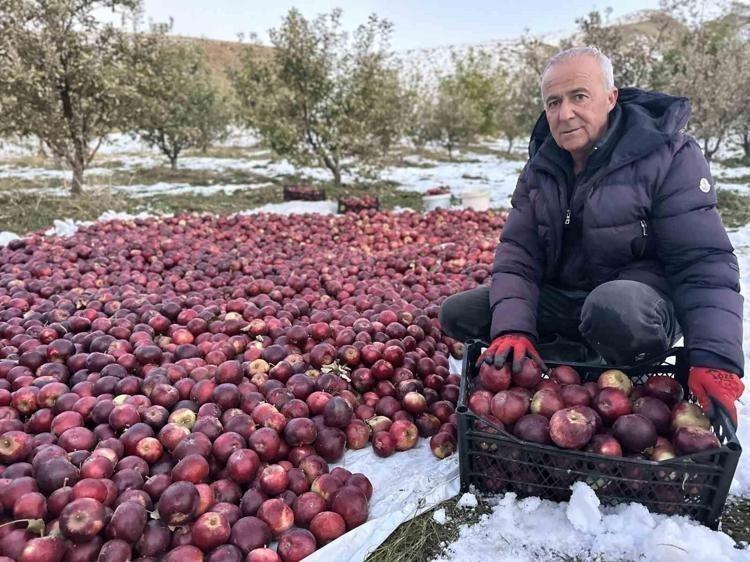 Son hasadı yapıldı, Türkiyenin en kalitelisi seçildi En güçlü antioksidan: Kalbe giden damarlarda yağ çözücü etkisi yaratıyor
