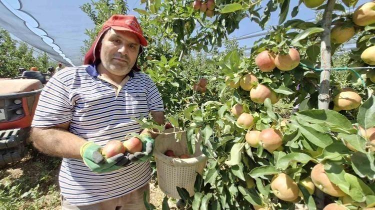 Son hasadı yapıldı, Türkiyenin en kalitelisi seçildi En güçlü antioksidan: Kalbe giden damarlarda yağ çözücü etkisi yaratıyor