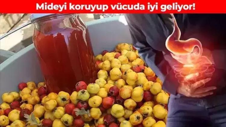 Doğal mide ilacı olarak da biliniyor Sirkesini yapıp kaşık kaşık tüketin: Bağırsakları fokur fokur çalıştırıyor, bağışıklığı demir gibi yapıyor