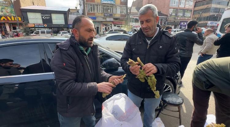 Hakkari dağlarında kendi kendine yetişiyor, toplaması çok zahmetli Destesi 100 TL: Tıkalı damarları yağ çözücü gibi açıp tansiyonu ve kan şekerini dengeliyor