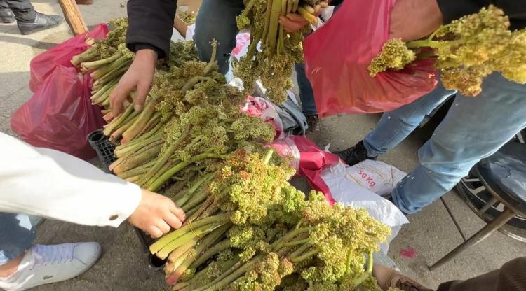 GÜÇLÜ BİR ANTİOKSİDAN KAYNAĞIDIR