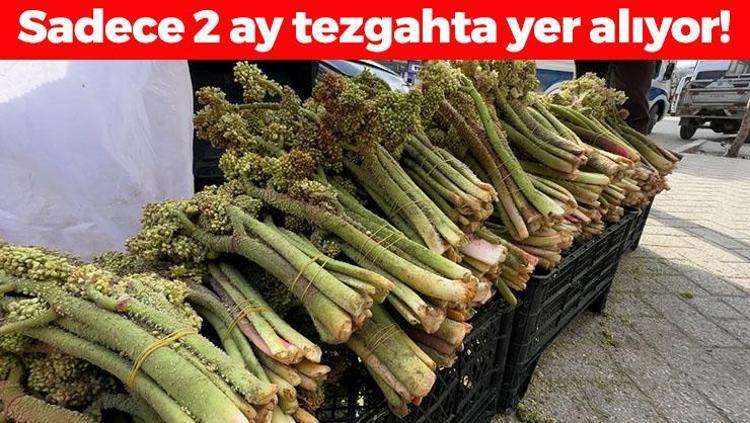 Hakkari dağlarında kendi kendine yetişiyor, toplaması çok zahmetli Destesi 100 TL: Tıkalı damarları yağ çözücü gibi açıp tansiyonu ve kan şekerini dengeliyor