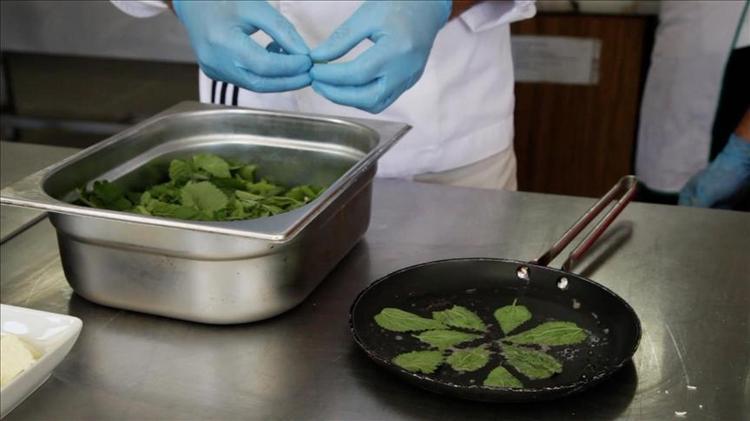 Bahçede görenler toplasın Pişirince böbrek taşı ve kum oluşumunu önlüyor, tabak tabak yiyenler şifa buluyor