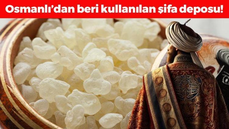 Osmanlıda her tatlıya atılıyordu Gaz, şişkinlik ve hazımsızlığın kökünü kazıyor, boğazdaki mikrobu söktürüp öksürüğü bıçak gibi kesiyor