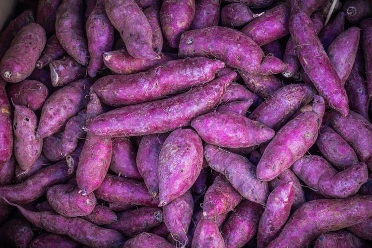 Japonların uzun yaşam sırrı keşfedildi: Yiyen 100 yaşını görmeden ölmüyor B6 ve C vitamini zengini, cildi de gençleştiriyor