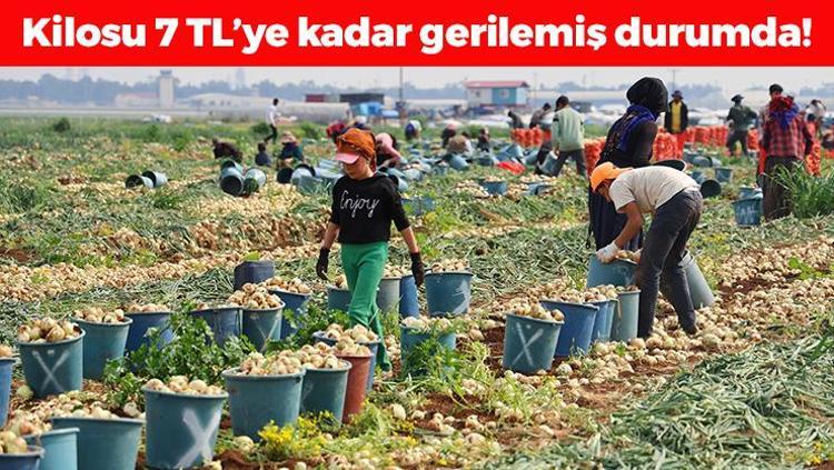 Kilosu 7 TLye düştü Tıkalı damarları yağ çözücü gibi açıp boğazdan mikrobu söküp alıyor Kan şekerini anında dengeliyor