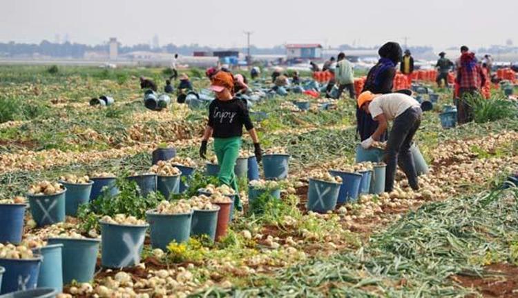 ZİNCİR MARKETLER PİYASA DENGESİNİ BOZUYOR