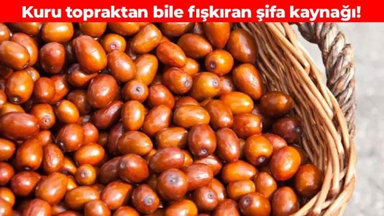 Kemiklere çelik gibi güç kazandırıyor İstediğiniz şekilde tüketin: Faydaları saymakla bitmiyor, en verimsiz topraklarda bile yetişiyor