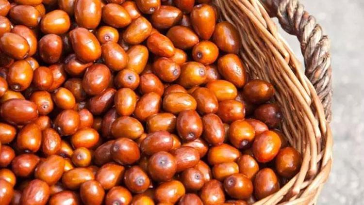 KADIN SAĞLIĞINA DESTEK OLUR
