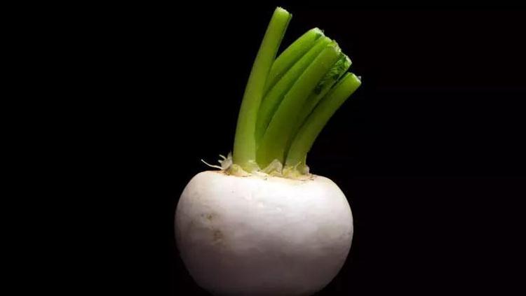 BAĞIŞIKLIK SİSTEMİNİ GÜÇLENDİRİR