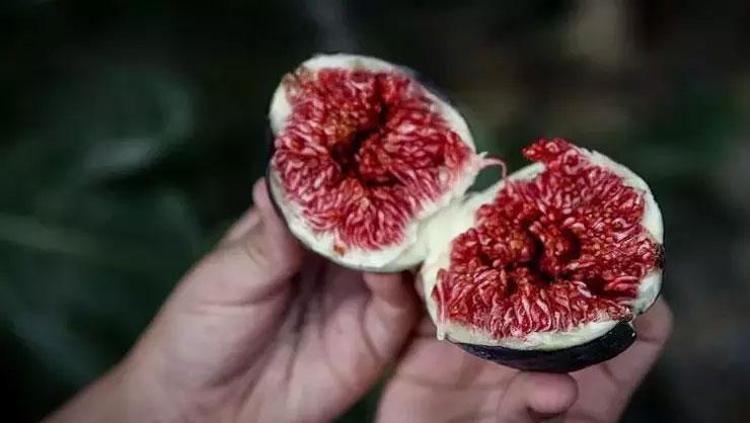 Suda bekletip bardak bardak için Tığ gibi zayıflamak isteyen günlük tüketsin: Bel, basen ve karındaki yağları mıknatıs gibi çekiyor