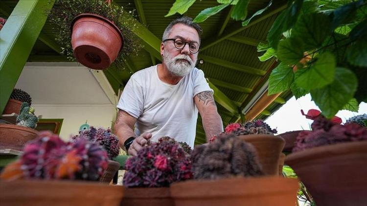 Kaktüse çiçek açtırıyor 1 damlası bile yetiyor: Evinde kaktüs olanlar denesin