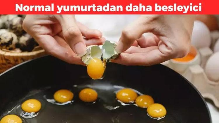 Normal yumurta yerine bunu tüketin Yüksek protein, vitamin ve mineral içeriyor: Kolestrol oranı daha düşük ama daha besleyici