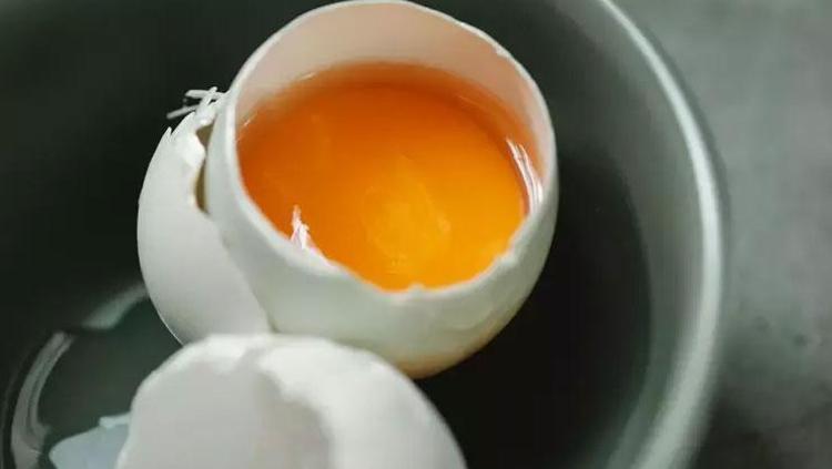 ÇİĞ YUMURTANIN TÜYLER ÜZERİNDEKİ ETKİSİ