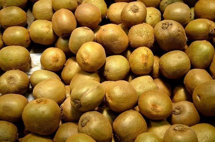 Canan Karatay yaşlanma karşıtı besini açıkladı: Her gün yiyen 10 yıl gençleşiyor