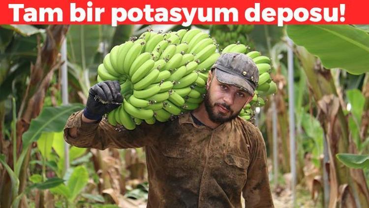 Doğanın potasyum kralı 1 aylık vitamin ihtiyacını tek seferde karşılıyor: Mide ve bağırsakları saat gibi tıkır tıkır çalıştırıyor