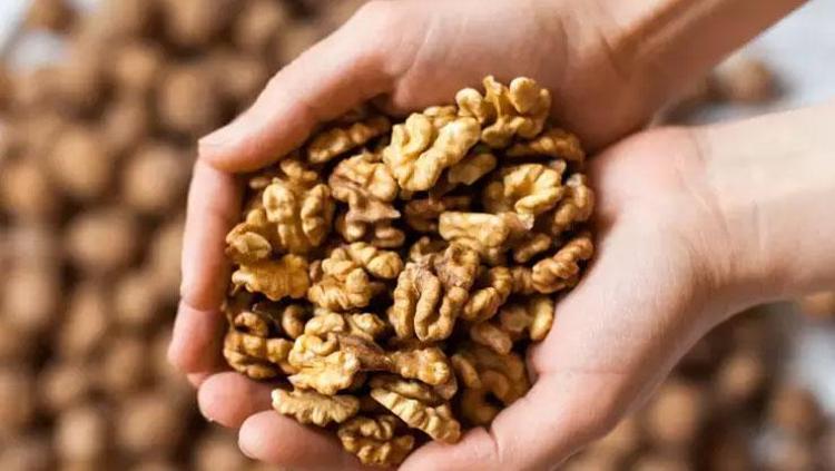 SAĞLIKLI KURU YEMİŞLER