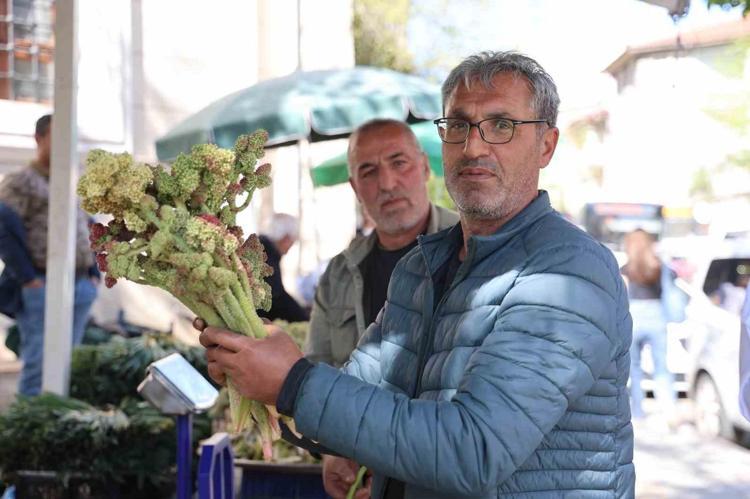 Elazığda şifa deposu: Pazar tezgahlarındaki yerini aldı: Kilosu 150 liradan satılıyor Bir tek ölümsüzlüğe çaresi yok, şeker hastalarına şifa oluyor
